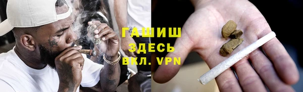 трава Ельня