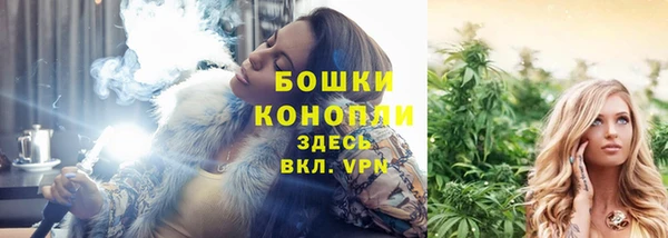 твердый Дмитров