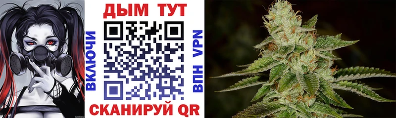 Купить закладки  Сельцо  Шишки марихуана SATIVA & INDICA 